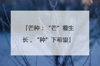 芒种：“芒”着生长，“种”下希望