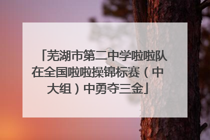 芜湖市第二中学啦啦队在全国啦啦操锦标赛（中大组）中勇夺三金