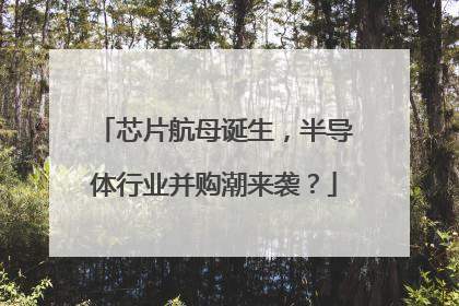 芯片航母诞生，半导体行业并购潮来袭？