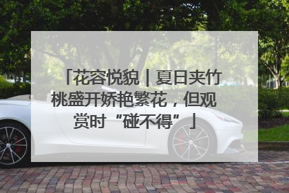 花容悦貌｜夏日夹竹桃盛开娇艳繁花，但观赏时“碰不得”