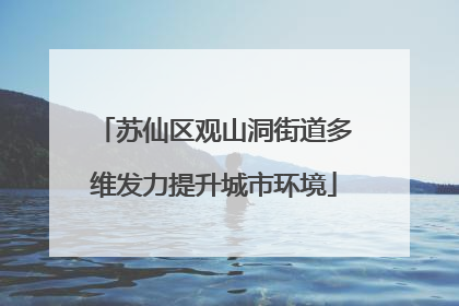 苏仙区观山洞街道多维发力提升城市环境