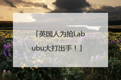 英国人为抢Labubu大打出手！