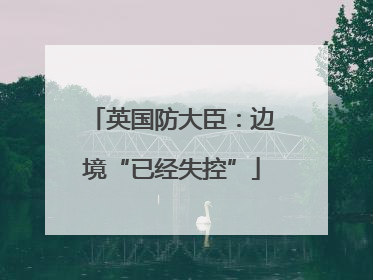 英国防大臣：边境“已经失控”