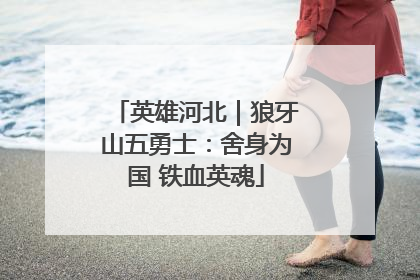 英雄河北｜狼牙山五勇士：舍身为国 铁血英魂