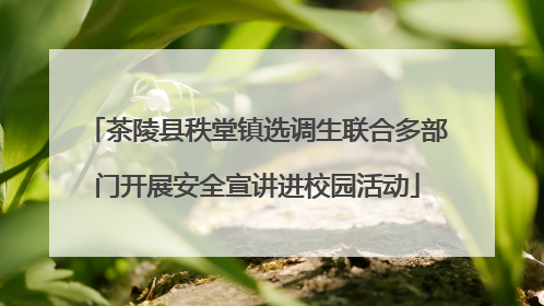 茶陵县秩堂镇选调生联合多部门开展安全宣讲进校园活动