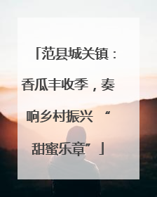 范县城关镇：香瓜丰收季，奏响乡村振兴 “甜蜜乐章”