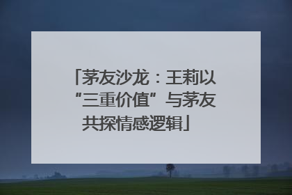 茅友沙龙：王莉以“三重价值”与茅友共探情感逻辑
