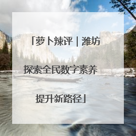 萝卜辣评｜潍坊探索全民数字素养提升新路径