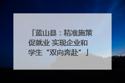 蓝山县：精准施策促就业 实现企业和学生“双向奔赴”