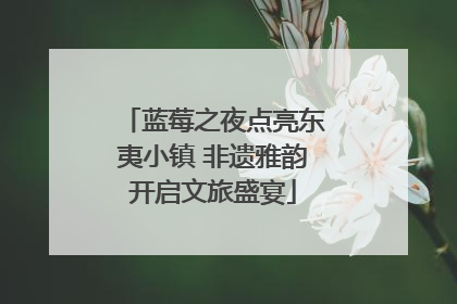 蓝莓之夜点亮东夷小镇 非遗雅韵开启文旅盛宴