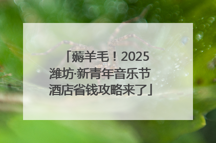 薅羊毛！2025潍坊·新青年音乐节酒店省钱攻略来了