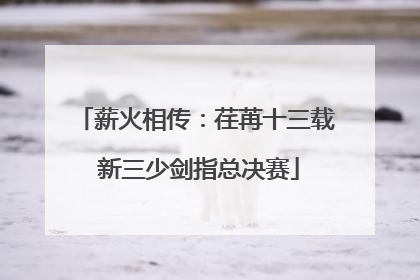 薪火相传：荏苒十三载 新三少剑指总决赛
