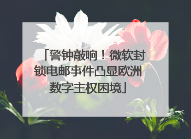 警钟敲响！微软封锁电邮事件凸显欧洲数字主权困境