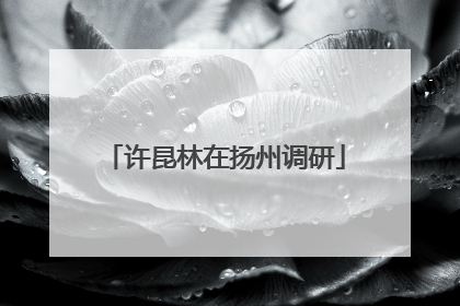许昆林在扬州调研