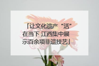 让文化遗产“活”在当下 江西集中展示百余项非遗技艺