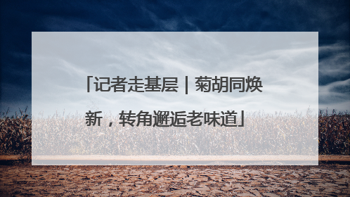 记者走基层｜菊胡同焕新，转角邂逅老味道