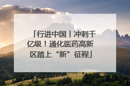 行进中国丨冲刺千亿级！通化医药高新区踏上“新”征程