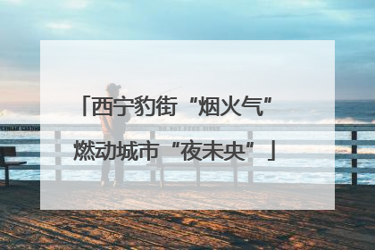 西宁豹街“烟火气” 燃动城市“夜未央”