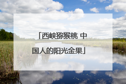 西峡猕猴桃 中国人的阳光金果