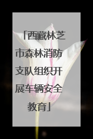 西藏林芝市森林消防支队组织开展车辆安全教育