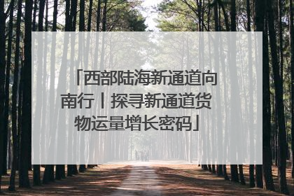 西部陆海新通道向南行丨探寻新通道货物运量增长密码