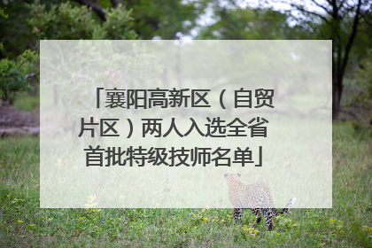 襄阳高新区（自贸片区）两人入选全省首批特级技师名单