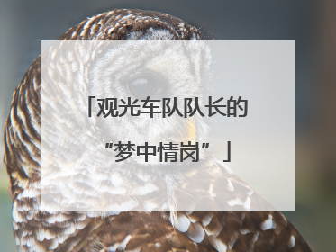 观光车队队长的“梦中情岗”