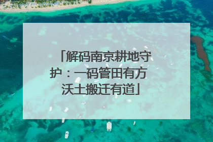 解码南京耕地守护：一码管田有方 沃土搬迁有道
