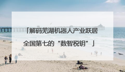 解码芜湖机器人产业跃居全国第七的“数智税钥”