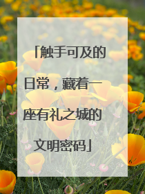 触手可及的日常，藏着一座有礼之城的文明密码