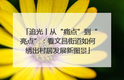 追光丨从“痛点”到“亮点”：看文昌街道如何绣出村居发展新图景