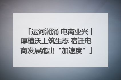 运河潮涌 电商业兴丨厚植沃土筑生态 宿迁电商发展跑出“加速度”