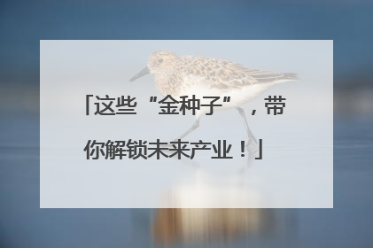 这些“金种子”，带你解锁未来产业！