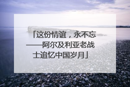 这份情谊，永不忘——阿尔及利亚老战士追忆中国岁月