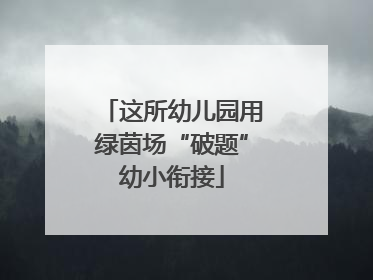 这所幼儿园用绿茵场“破题”幼小衔接