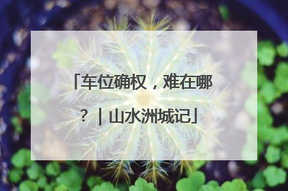 车位确权，难在哪？｜山水洲城记