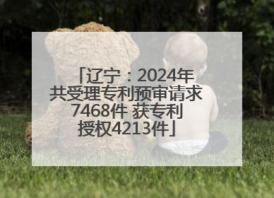 辽宁：2024年共受理专利预审请求7468件 获专利授权4213件