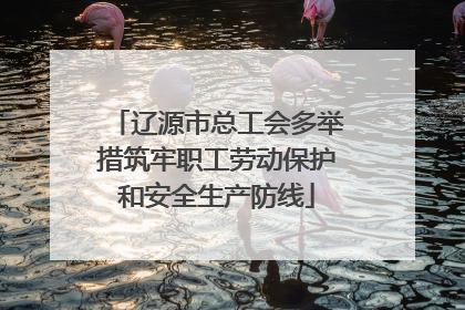 辽源市总工会多举措筑牢职工劳动保护和安全生产防线