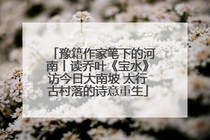 豫籍作家笔下的河南丨读乔叶《宝水》访今日大南坡 太行古村落的诗意重生