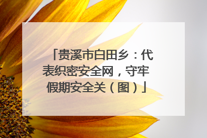 贵溪市白田乡：代表织密安全网，守牢假期安全关（图）