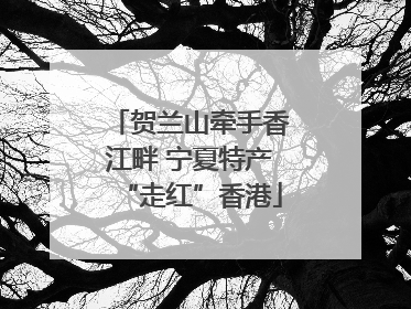 贺兰山牵手香江畔 宁夏特产“走红”香港