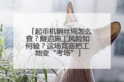 起重机钢丝绳怎么查？隧道施工风险如何验？这场竞赛把工地变“考场”