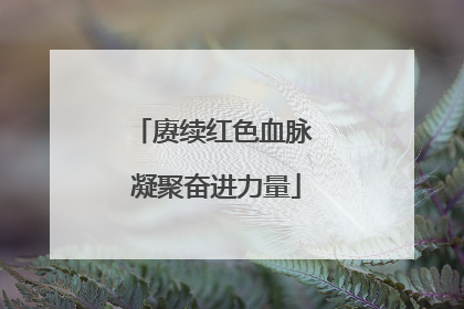 赓续红色血脉 凝聚奋进力量