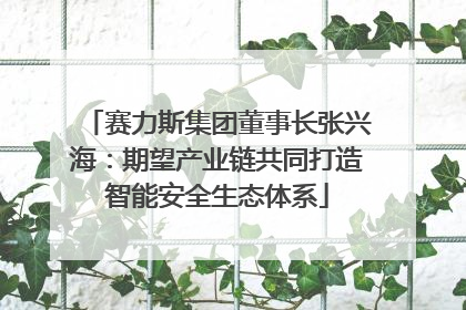 赛力斯集团董事长张兴海：期望产业链共同打造智能安全生态体系