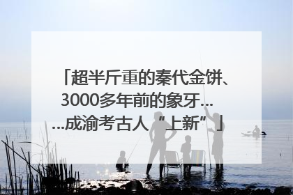 超半斤重的秦代金饼、3000多年前的象牙……成渝考古人“上新”