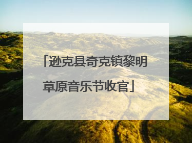 逊克县奇克镇黎明草原音乐节收官