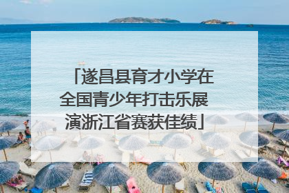 遂昌县育才小学在全国青少年打击乐展演浙江省赛获佳绩