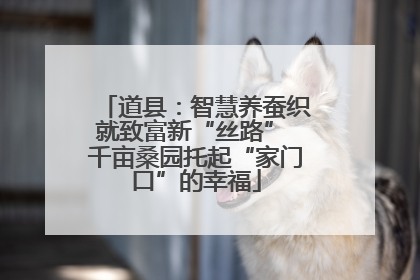 道县：智慧养蚕织就致富新“丝路” 千亩桑园托起“家门口”的幸福