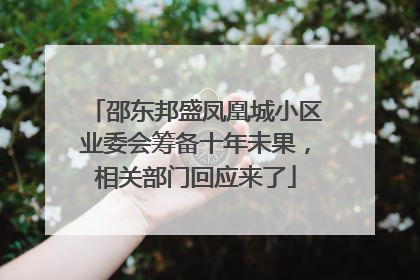 邵东邦盛凤凰城小区业委会筹备十年未果，相关部门回应来了