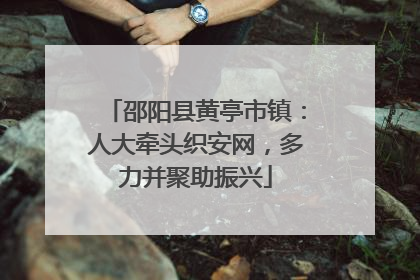 邵阳县黄亭市镇：人大牵头织安网，多力并聚助振兴